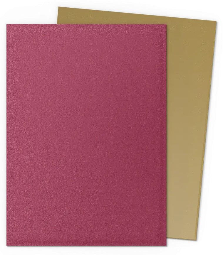DRAGON SHIELD SLEEVES DUAL MATTE 100ct