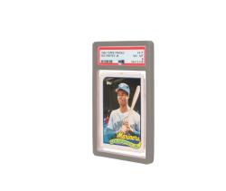 GRADED SLAB BUMPERS PSA SILVER