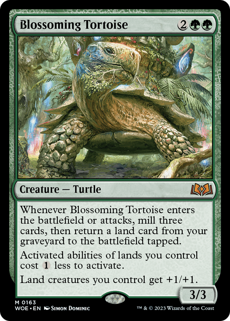 Blossoming Tortoise [woe - 163]