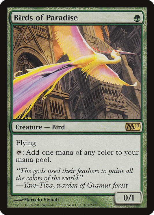 Birds of Paradise [m11 - 165]