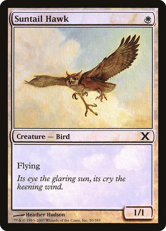 Suntail Hawk (10E-50★) - Tenth Edition Foil