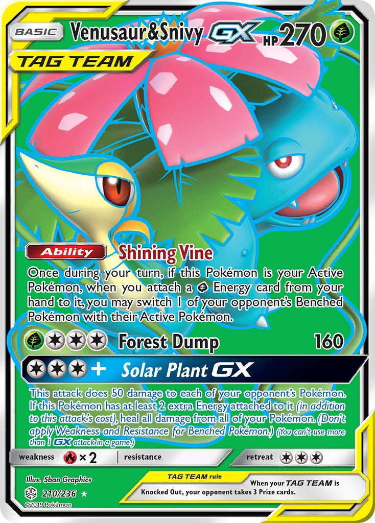 Venusaur & Snivy-GX [SM12 - 210]