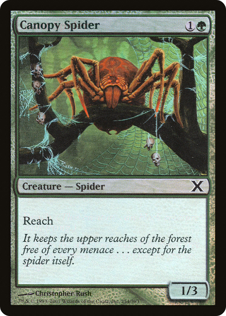 Canopy Spider (10E-254★) - Tenth Edition Foil