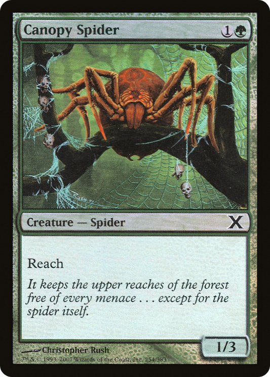 Canopy Spider (10E-254★) - Tenth Edition Foil