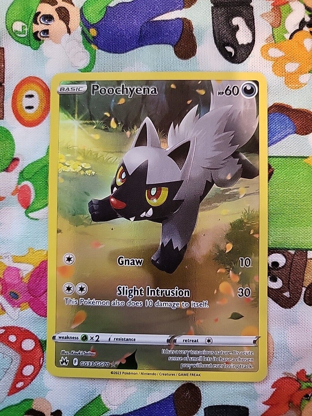 Poochyena - GG33/GG70 - Pokemon Crown Zenith Galarian Gallery Holo Card NM