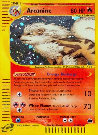 Arcanine (H2) H2/144 - Skyridge Holofoil