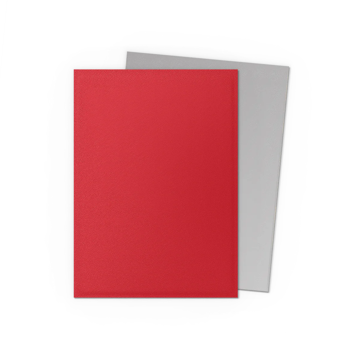 DRAGON SHIELD SLEEVES DUAL MATTE SILVER 100CT