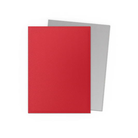 DRAGON SHIELD SLEEVES DUAL MATTE SILVER 100CT