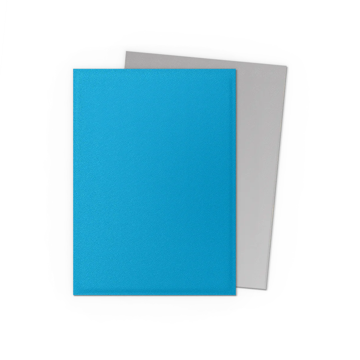 DRAGON SHIELD SLEEVES DUAL MATTE SILVER 100CT