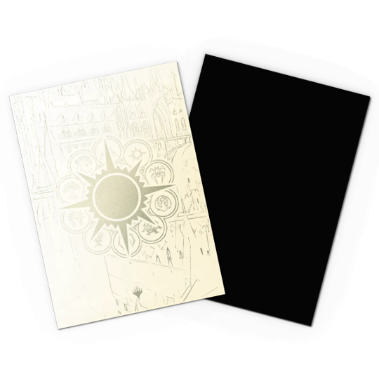 DRAGON SHIELD SLEEVES DUAL MATTE 100ct