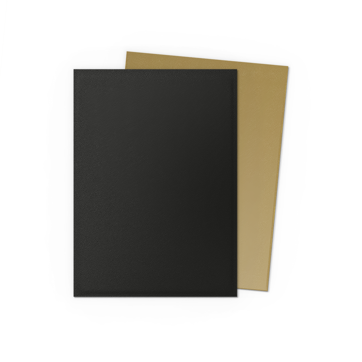 DRAGON SHIELD SLEEVES DUAL MATTE 100ct