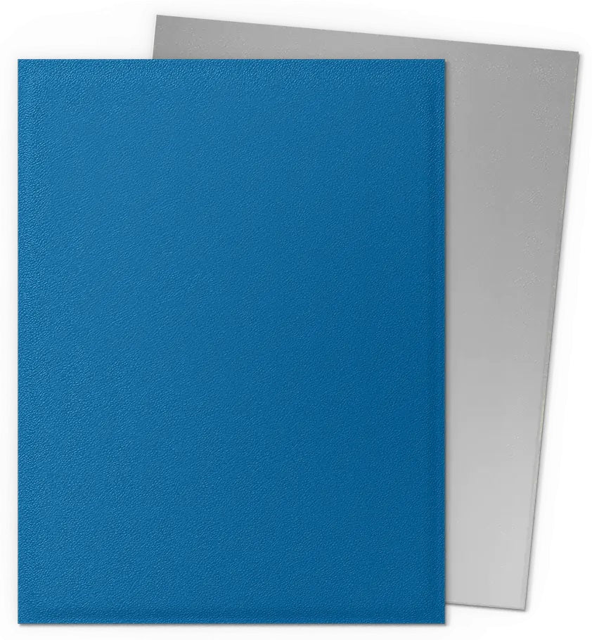 DRAGON SHIELD SLEEVES DUAL MATTE SILVER 100CT