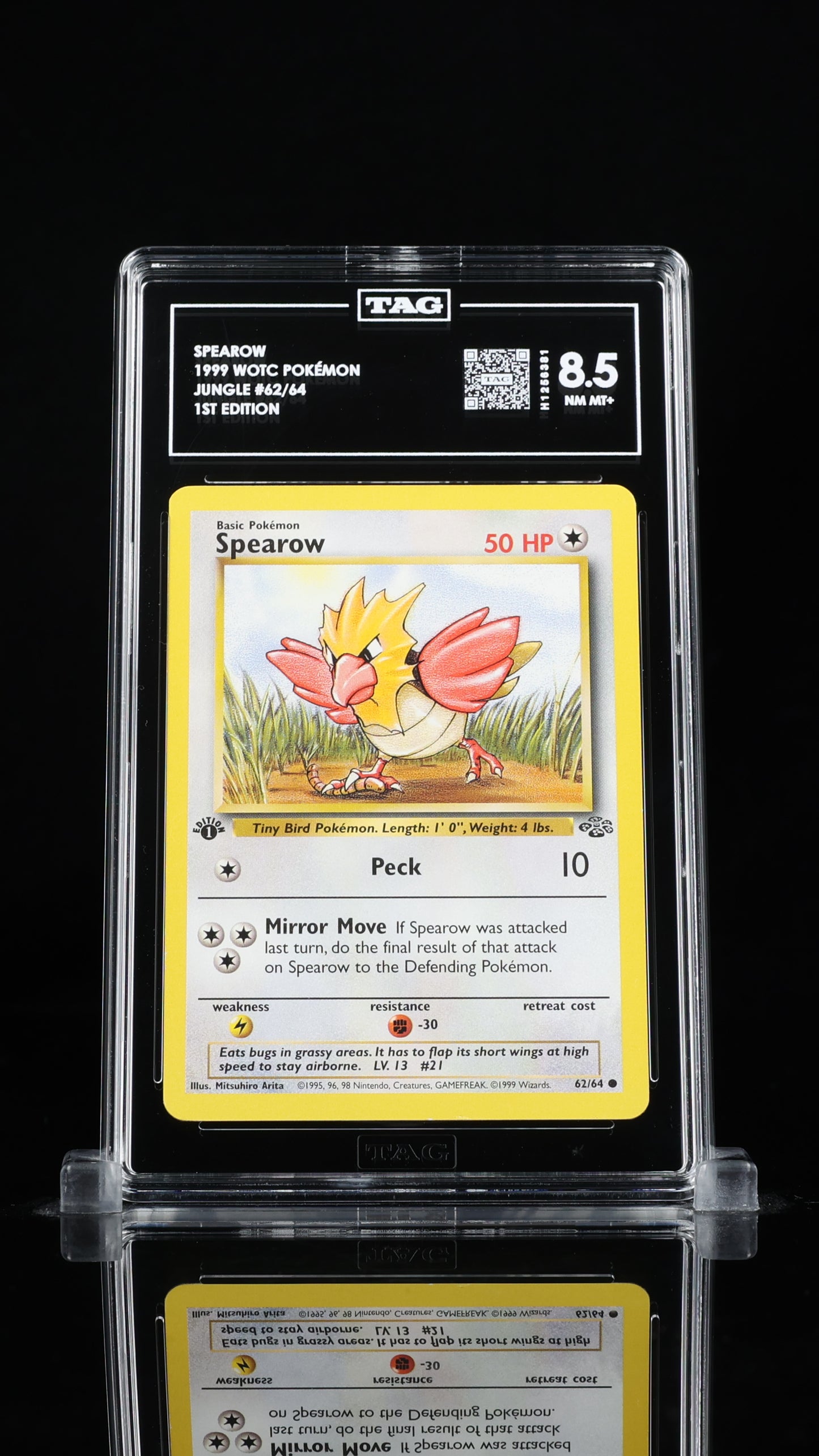 Spearow	8.5 NM MT+ 62/64