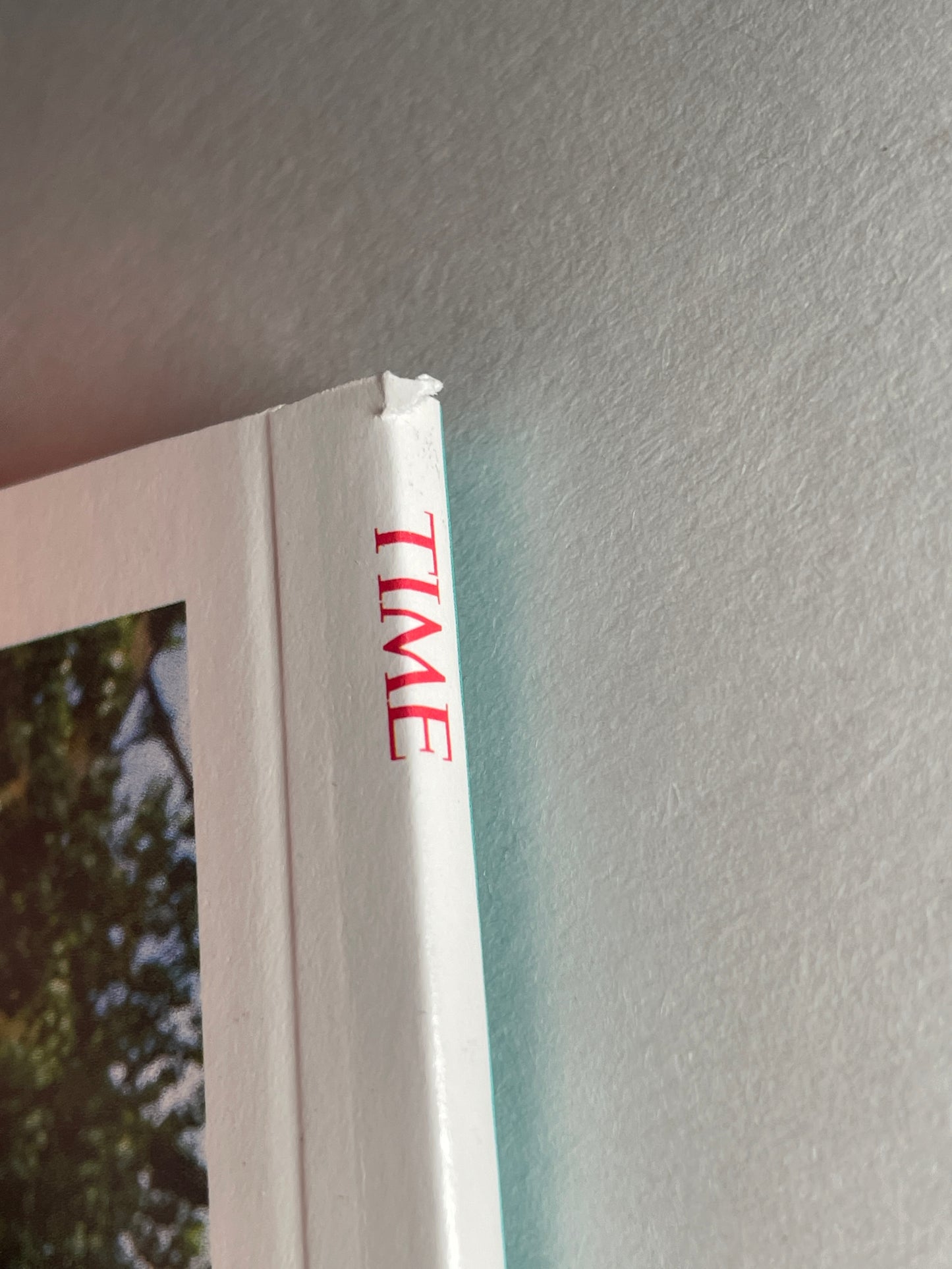 25 YEARS OF POKEMON IN AMERICA TIME MAGAZINE SPECIAL EDITION 2024 BULBASAUR