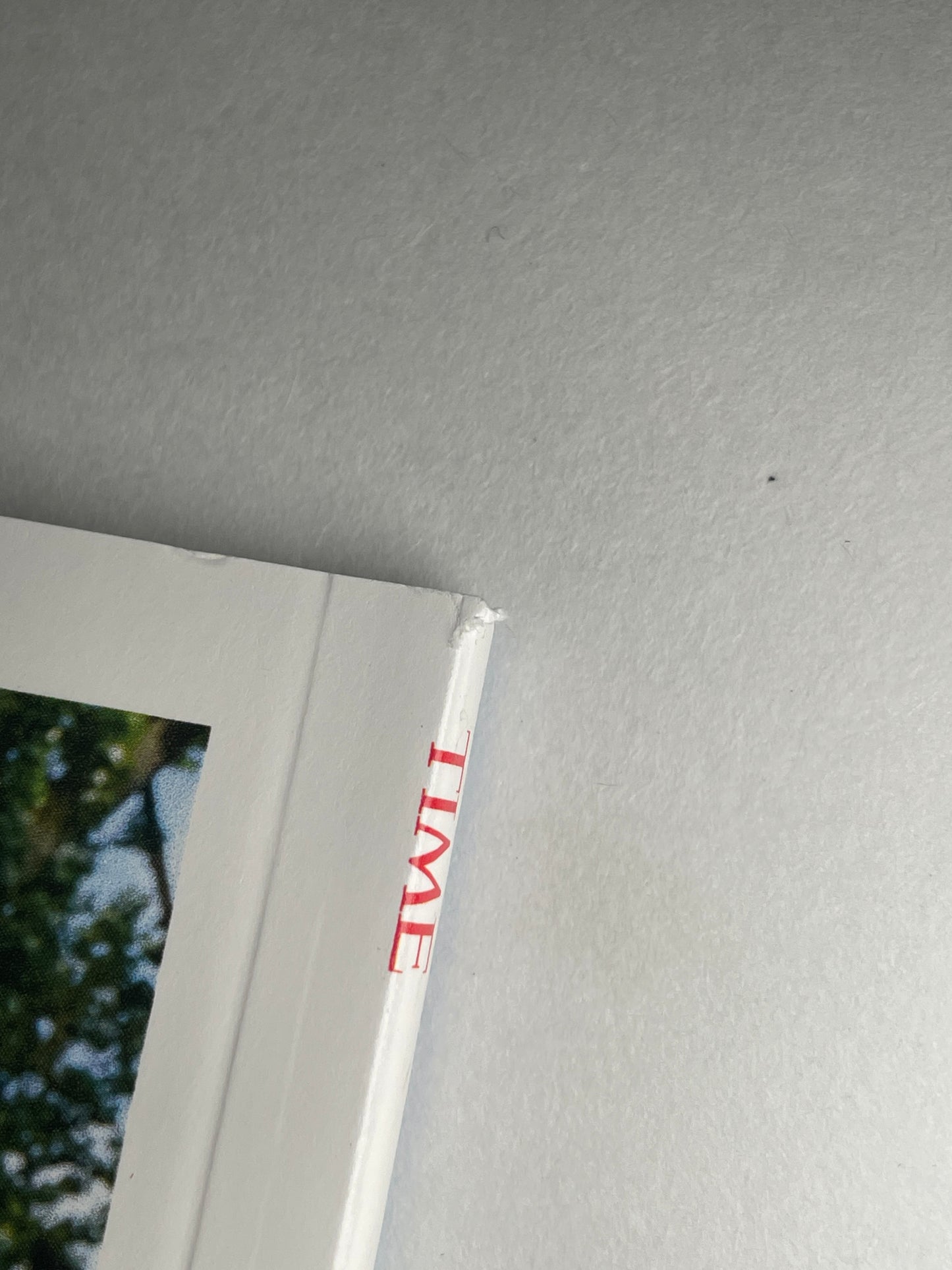 25 YEARS OF POKEMON IN AMERICA TIME MAGAZINE SPECIAL EDITION 2024 BLASTOISE