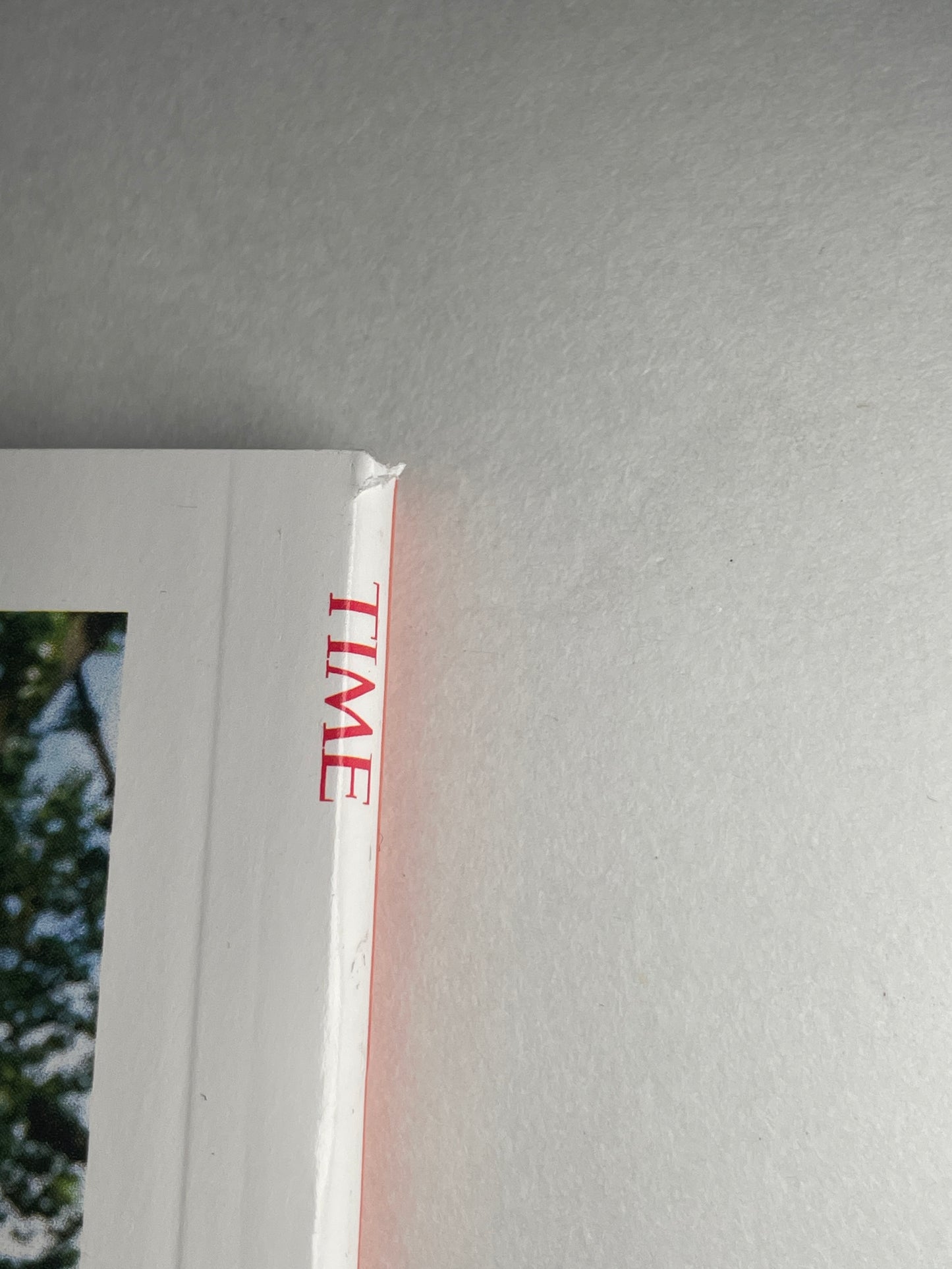 25 YEARS OF POKEMON IN AMERICA TIME MAGAZINE SPECIAL EDITION 2024 CHARIZARD