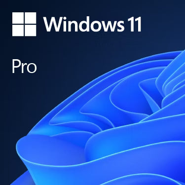 Microsoft Windows 11 Famille