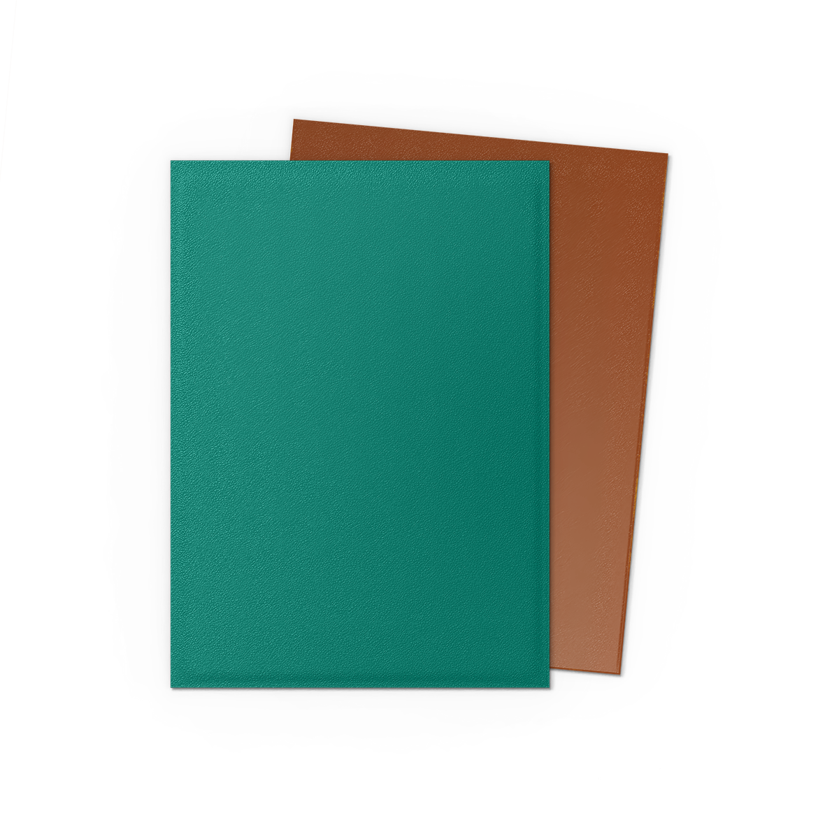 DRAGON SHIELD SLEEVES DUAL MATTE 100ct