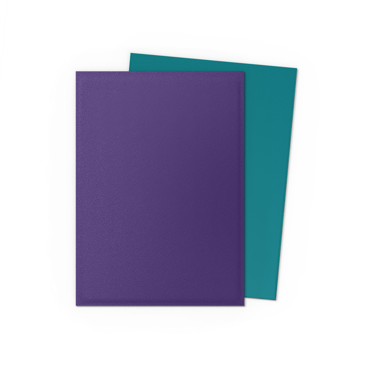 DRAGON SHIELD SLEEVES DUAL MATTE 100ct