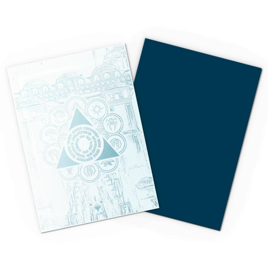 DRAGON SHIELD SLEEVES DUAL MATTE 100ct