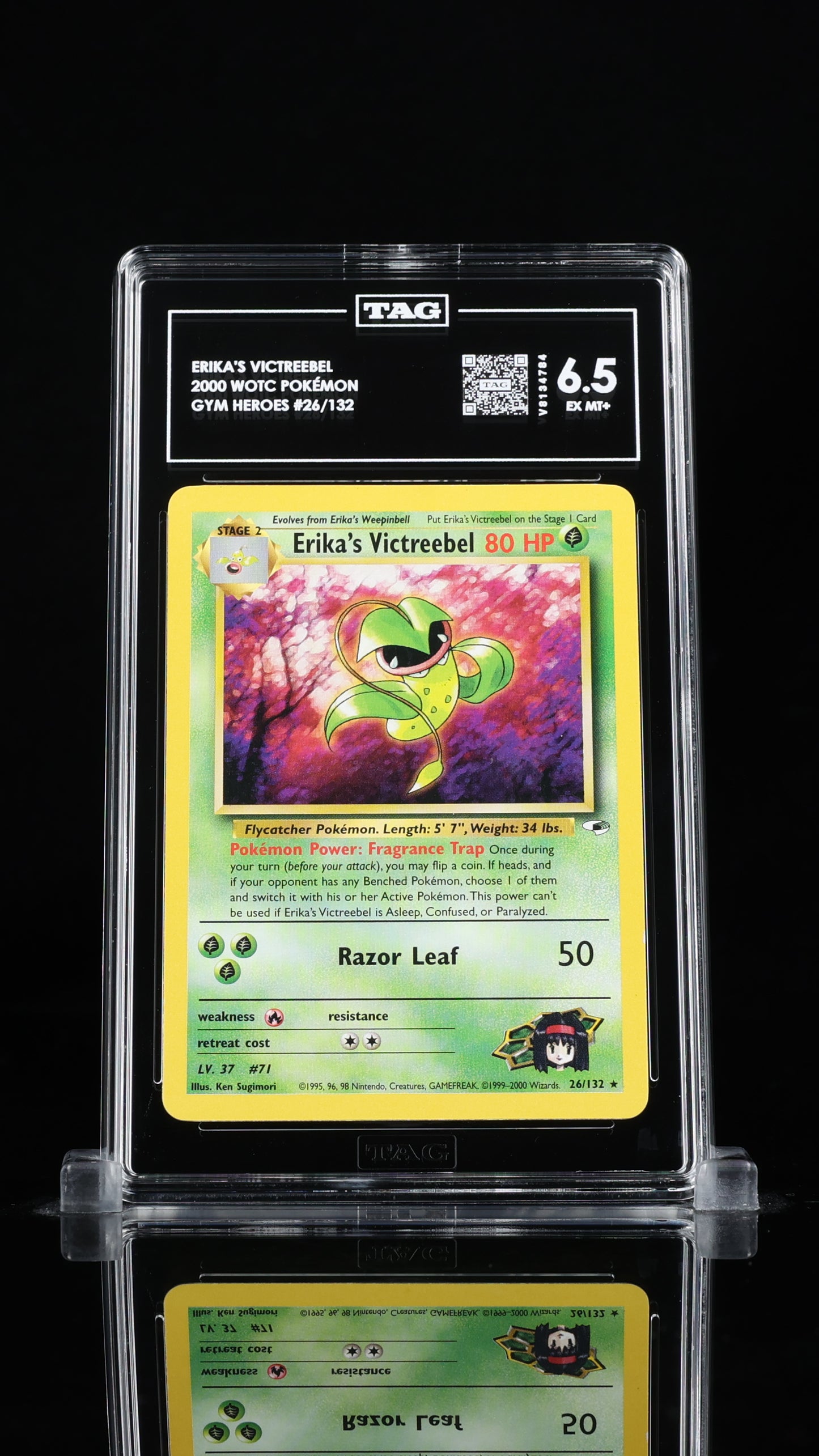 Erika's Victreebel	6.5 EX MT+ 26/132