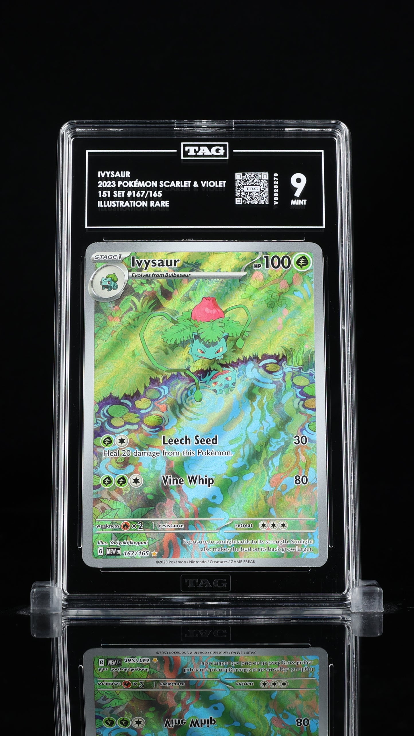 Ivysaur	9 MINT 	167/165