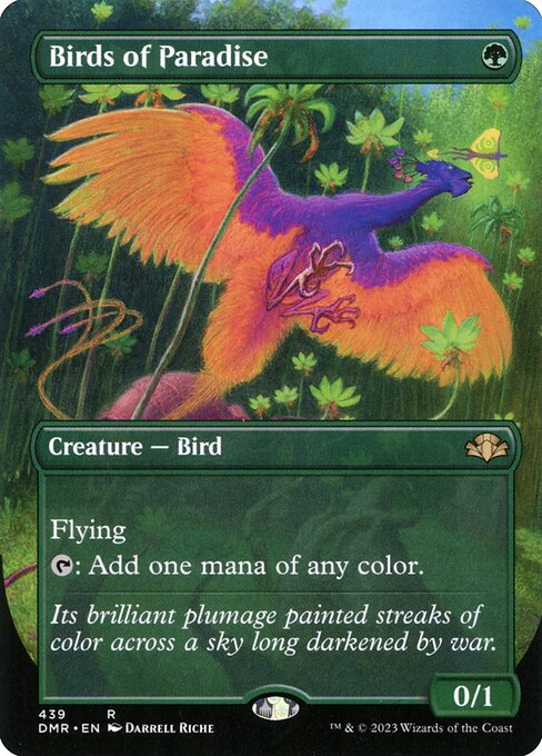 Birds of Paradise [DMR - 439]