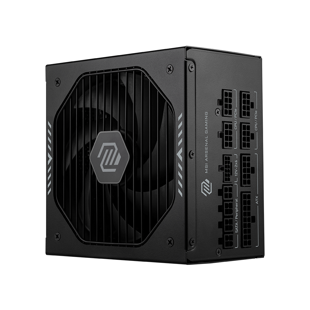 MSI PS MAG A1000GLS PCIE5 1000W 80+ Gold Fully-Modular ATX 12V APFC