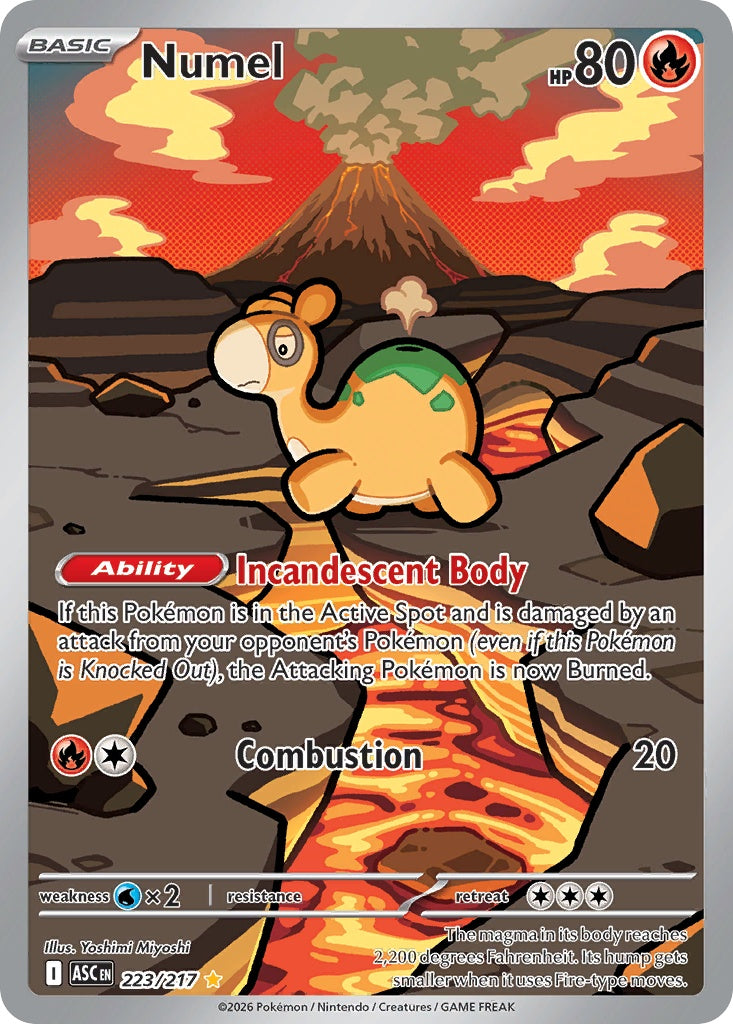 Numel [ME2PT5 - 223]